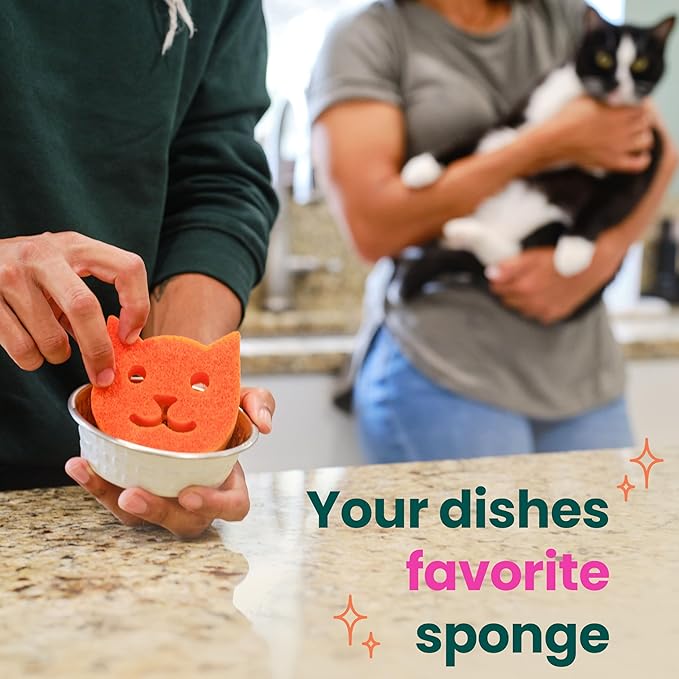 Scotch-Brite Purrfectly Clean Non-Scratch Scrub Sponge, Two- Sided, Limited - Image 5