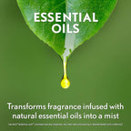 Air Wick Essential Mist, Essential Oil Diffuser Refill, Lemon Thyme, Air - Image 8