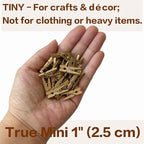 LWR CRAFTS Wooden Mini Clothespins 100 Per Pack 1" 2.5cm - Image 4