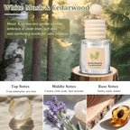 Car Air Freshener Oil Diffuser - Image 7