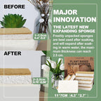 Aheroi Natural Dish Sponge, Compostable Eco Friendly Sponges, Organic Cleaning - Image 2