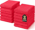 Homaxy 12 Pack Dish Towels for Kitchen, Super Soft and Absorbent Coral Velvet by Homaxy