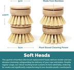 Jungle Culture Replacement Brush Heads - Image 3