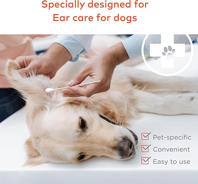 Cotton Swabs for Dogs and Cats - Image 2