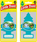 Little Trees Cardboard Hanging Car, Home & Office Air Freshener, Rainforest Mist by LITTLETREES