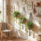 Sieral 3 Pack Hanging Fruit Baskets - Image 6