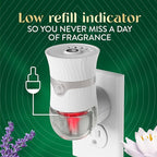 Air Wick Plug in Scented Oil Refill, Lavender & Waterlily, Air Freshener - Image 10
