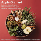 Car Air Freshener, 2-in-1 Stone Car Freshener - Image 2