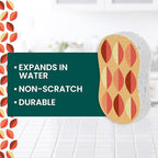 Scotch-Brite Brite Harvest Collection, 1 Extra Gentle Leafy Clean Kitchen Sponge - Image 8