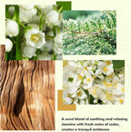 Reed Diffuser Set- Jasmine & Lily Scented Diffuser - Image 4