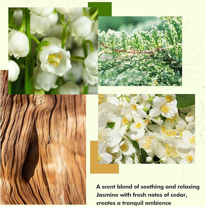 Reed Diffuser Set- Jasmine & Lily Scented Diffuser - Image 4