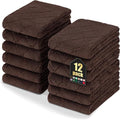 Homaxy 12 Pack Dish Towels for Kitchen, Super Soft and Absorbent Coral Velvet by Homaxy