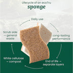 12 Pack Natural Kitchen Sponges, Compostable White Cellulose & Organic Coconut - Image 8