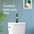 Febreze White Pine & Juniper Berry - Image 6