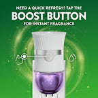 Air Wick Plug in Scented Oil Refill, Lavender & Chamomile, Air Freshener - Image 11