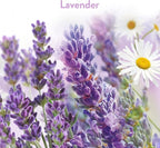 Air Wick Stick Ups Air Freshener, Lavender and Chamomile - Image 2