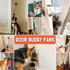 Door Buddy Door Prop for Cats - Image 8