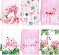 Geyoga 6 Pcs Spring Floral Kitchen Towels Flamingo Dish Hand Towels Sunflower by Geyoga