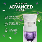 Air Wick Scented Oils 0+4 Lavender and Chamomile - Image 8