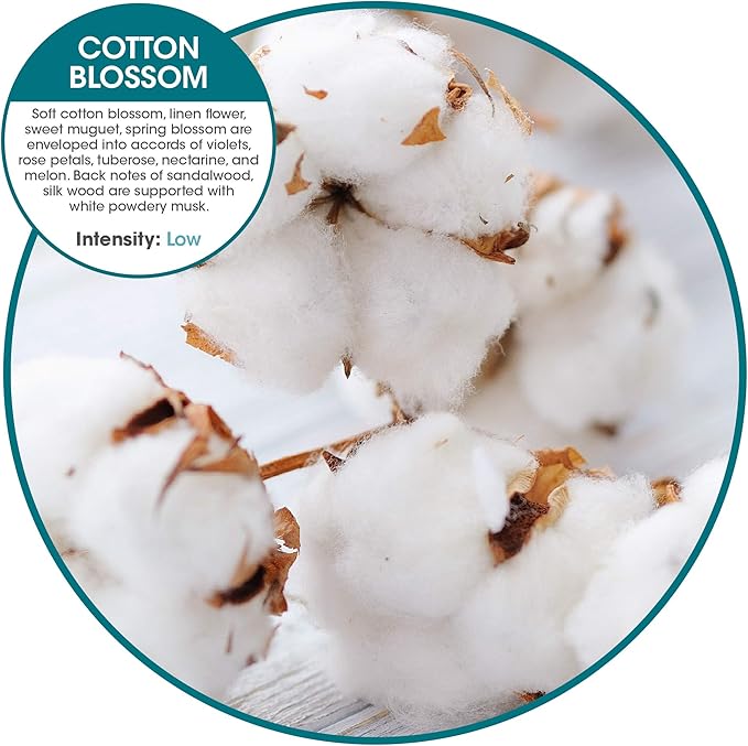 Fresh Products FRS EBC72 CBLBX Eco-Fresh Bowl Clip, Cotton Blossom - Image 2