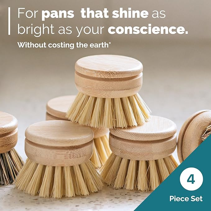 Jungle Culture Replacement Brush Heads - Image 6