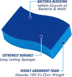 Elitra Essentials Scrubber Sponge, Non-Scratch Hydrophilic Foam Technology - Image 3
