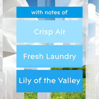 Glade Automatic Spray Refill, Air Freshener - Image 3