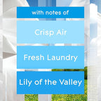 Glade Automatic Spray Refill and Holder Kit, Air Freshener - Image 2