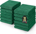 Homaxy 12 Pack Dish Towels for Kitchen, Super Soft and Absorbent Coral Velvet by Homaxy