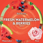 Air Wick Scented Oils 0+4 Fresh Watermelon & Berries - Image 4