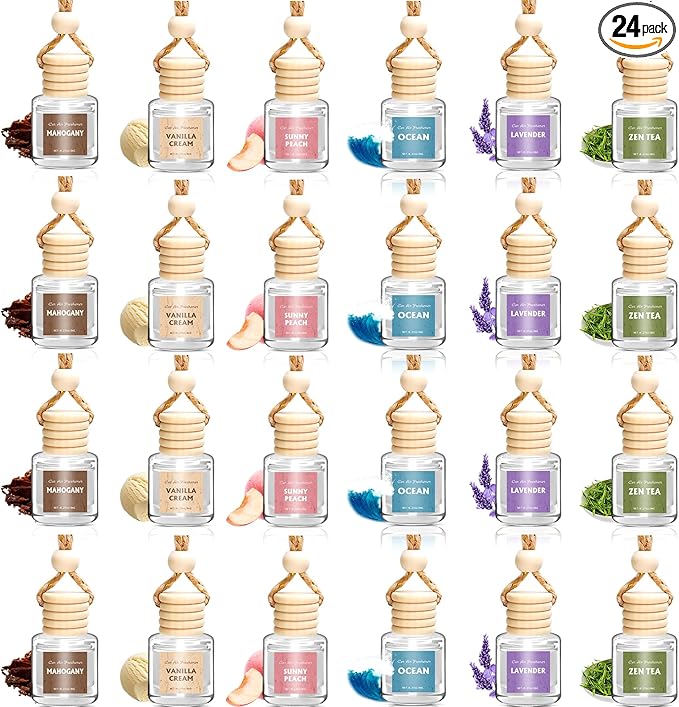 AROIC 24 Pack Car Air Freshener Diffuser, Long Lasting Hanging Fragrance by AROIC