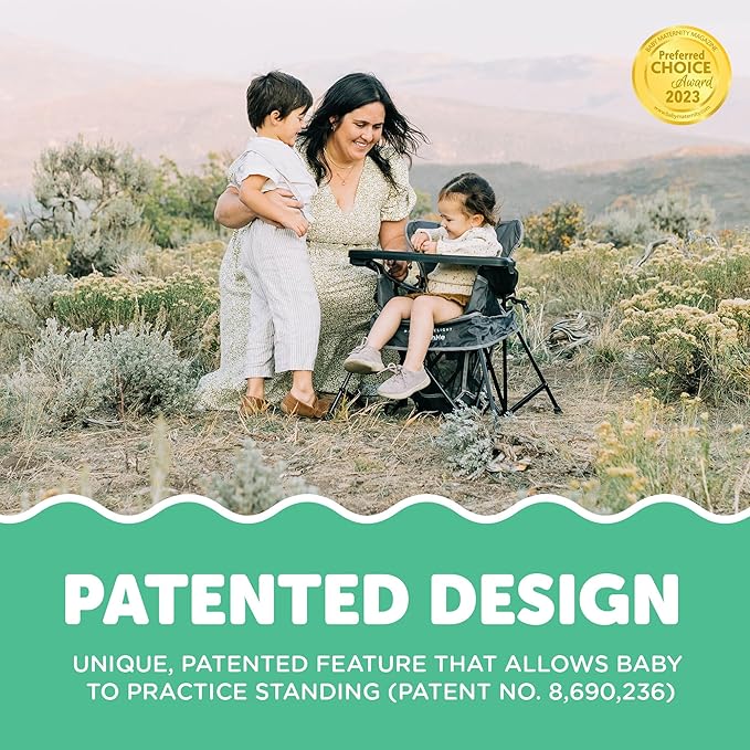 Baby Delight Go with Me Venture Portable Chair | Indoor and Outdoor | Sun Canopy | 3 Child Growth Stages | Grey - Image 5