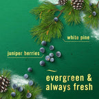 Febreze White Pine & Juniper Berry - Image 4