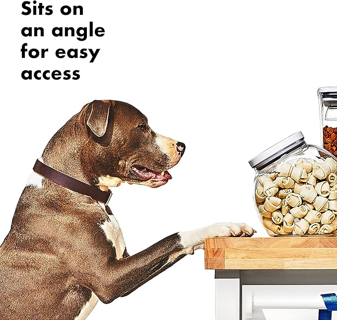 OXO Good Grips Pet POP Container – 3.0 Qt/2.8 L | Ideal - Image 5