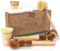 Jungle Culture® 6 Pack Bamboo Dish Brush Set by JungleCulture