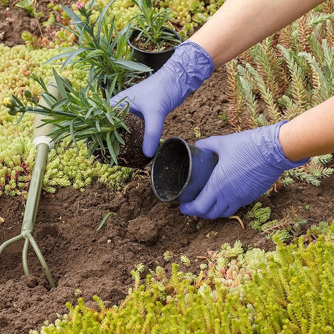FifthPulse Biodegradable Disposable Nitrile Gloves - Image 8
