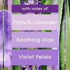 Glade PlugIns Refills Air Freshener, Scented and Essential Oils - Image 6