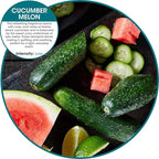 Fresh Products Eco Bowl Clip Air Freshener Versatile Design Toilet Freshener - Image 2