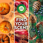Air Wick Plug in Scented Oil Refill, 5 ct, Air Freshener, Essential Oils - Image 6