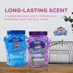 Clorox Fraganzia Crystal Beads Air Freshener, Long Lasting Room Deodorizer and - Image 4