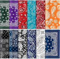 24 Pcs Microfiber Cleaning Cloth Paisley Elegant Flowers Design Glasses by Copkim