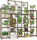 Plant Stand Indoor Outdoor 63" Tall Plant Shelf for Plants 14-Tier Large Plant Sheves for Living Room Heavy Duty Plant Rack Garden Balcony Patio Hanging Planter by Gentingbro