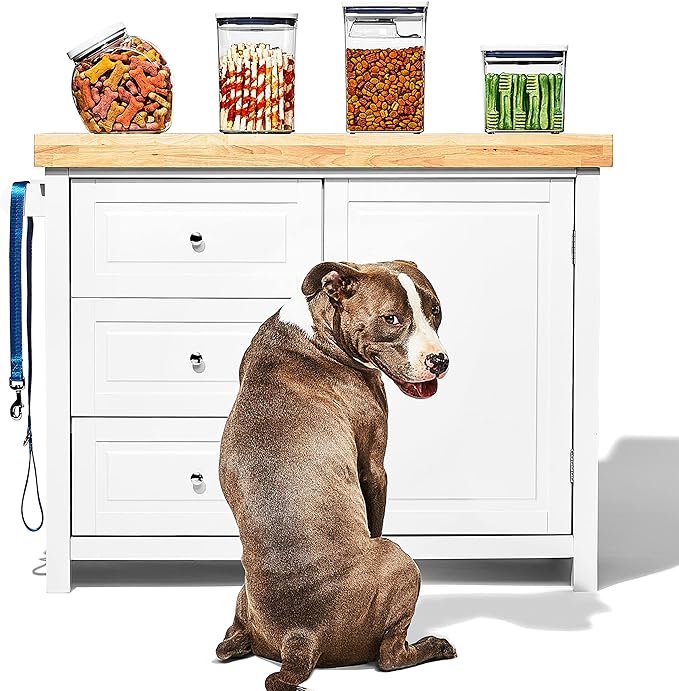OXO Good Grips Pet POP Container – 2.8 Qt/2.6 L |Ideal - Image 8