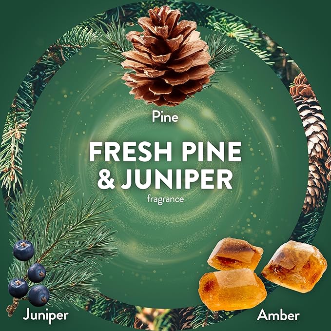 Air Wick Plug-In Scented Oil Refill, 5 Ct, Fresh Pine and Juniper, Air Freshener - Image 4
