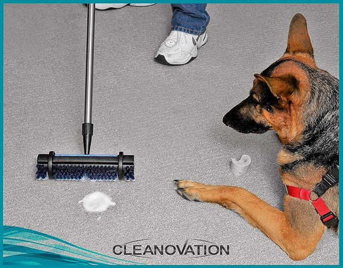 Rug Renovator/Carpet Cleaning Brush - Image 3