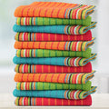 THREAD SPREAD Kitchen Dish Towels, 100% Cotton Salsa Towels, Highly Absorbent by THREADSPREAD