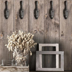 Rustic Cast Iron Coat Hooks - Image 5