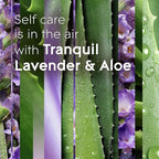 Glade PlugIns Refills Air Freshener, Scented and Essential Oils - Image 4